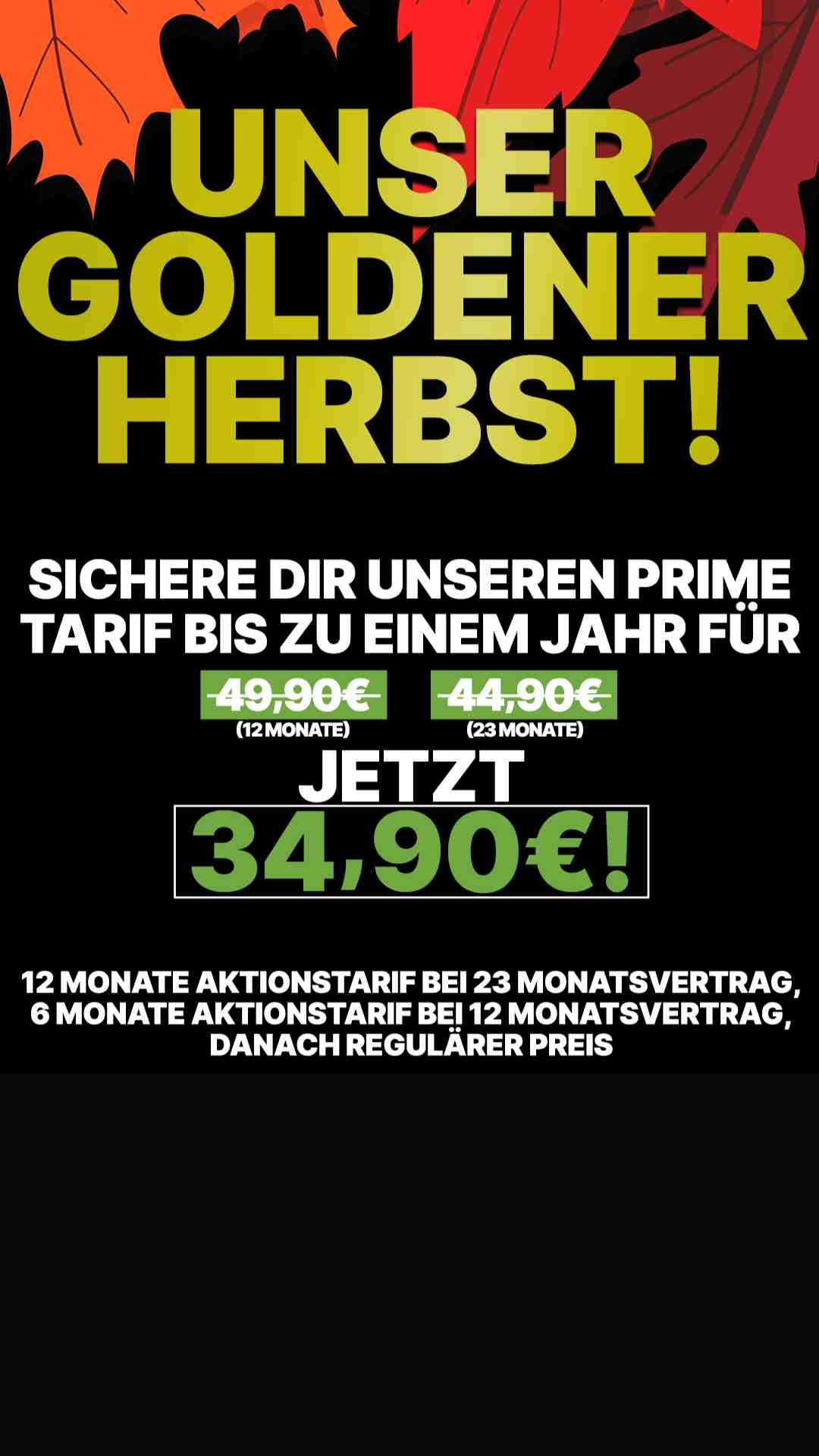 Nutze unsere Herbstaktion